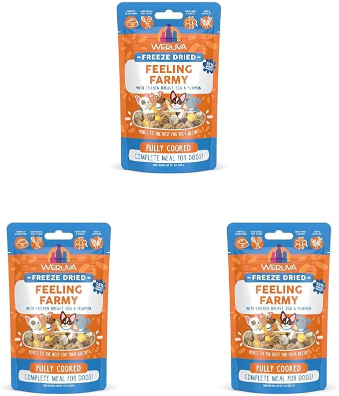 Weruva Dog Freeze Dried, Feeling Farmy with Chicken Breast, Egg & Pumpkin, 1oz Bag (Pack of 3)