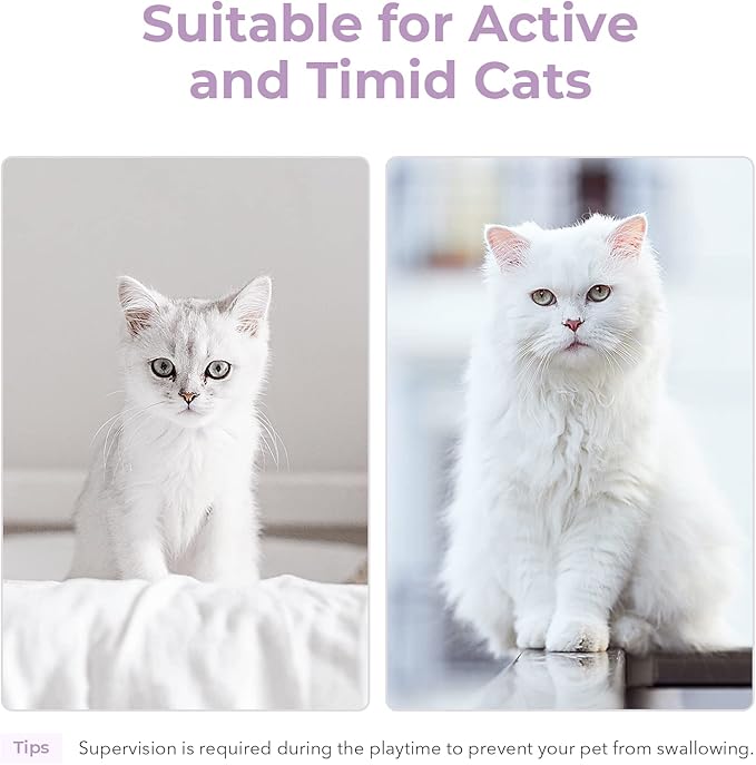 Cheerble Interactive Cat Ball Toy, Automatic Moving Ball Puzzle Toy for Indoor Cat Kitten, Smart Anti-Depression Pet Toy Fun Gift with Light (Purple)