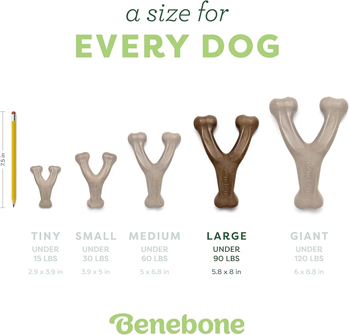Large 3-Pack, Benebone Wishbone Durable Dog Chew Toy for Aggressive Chewers, Real Bacon, Chicken, Peanut Butter, Made in USA, Variety Pack