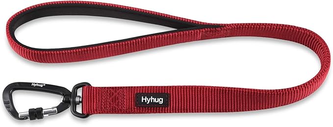Hyhug Pets 24 Inches Durable Short Leash with Neoprene Soft Handle and Lightweight Aviation Aluminium Clip Lead- for Daily Use Walking and Professional Training. (24 Inches, Red)