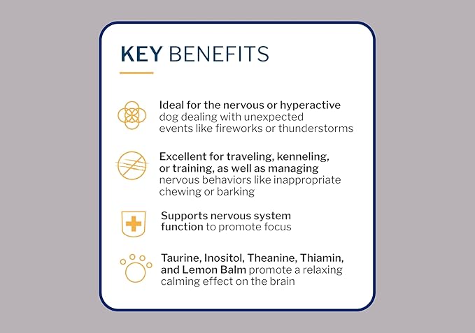 To The Rescue Dog Calming Supplement - Supports Nervous System Function of The Anxious and Hyperactive Dogs - Calming to Help with Separation, Stress, Thunderstorms and Motion Sickness - 60 Chews