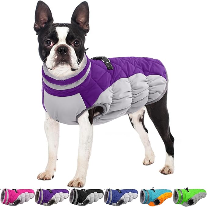 Dog Jackets for Medium Dogs,Medium Dog Coat,Warm Pet Winter Coat Zip Up Back,Waterproof Dogs Jacket with D-Ring,Pet Cold Weather Coats with Fleece Lined, Snowsuit Pug Boston Terrier,Purple,M