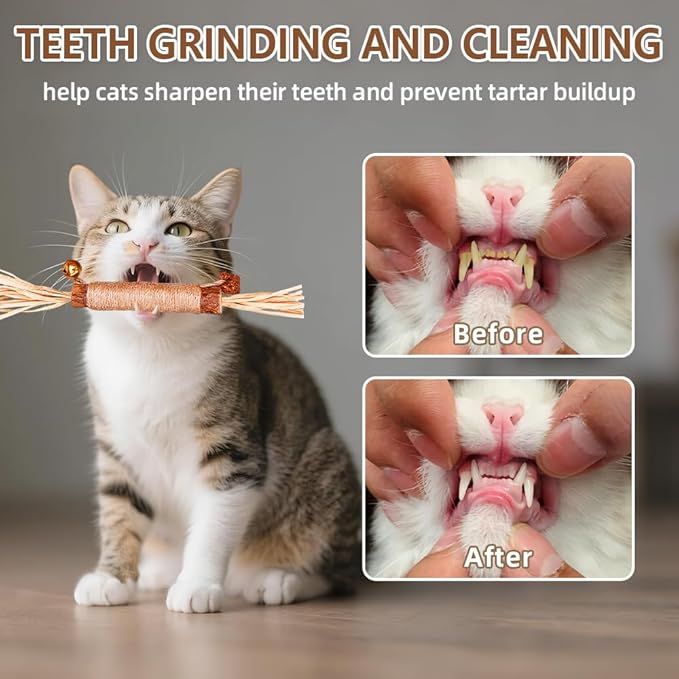 Natural Dried Matatabi Cat Chew Stick with Gall Fruit, Raffia Grass & Bell Cat Ball Toys, Handmade Silvervine Sticks Interactive Catnip Toy for Teething & Entertainment (Size M Color A)