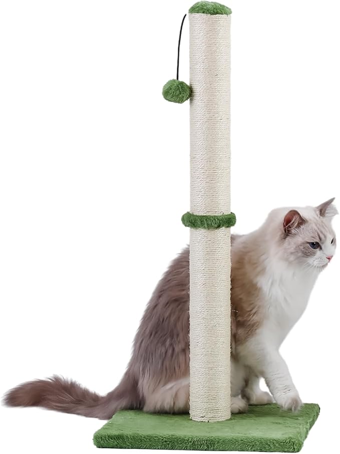 Dimaka Tall Cat Scratching Post, Claw Scratcher with Sisal Rope and Covered with Soft Smooth Plush, Vertical Scratch [Full Strectch] for Standard Size Cats (Green, 29 inches for All Cats)