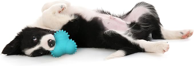 Playology Dog Toys | Puppy Toy Teething Bounce Ball Designed for Young & Active Dogs | Medium Peanut Butter Scented Toy Made from Non Toxic Materials