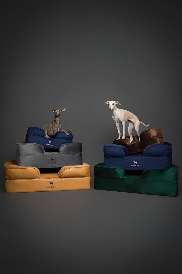 NOAH & PAW Giant Dog Bed XXL, 55x45x11 Inch, Orthopedic Dog Beds, Eggshell Memory Foam Infused with Cooling Gel, Inner Cover, Waterproof, Machine Washable (Velvet Sofa Collection)