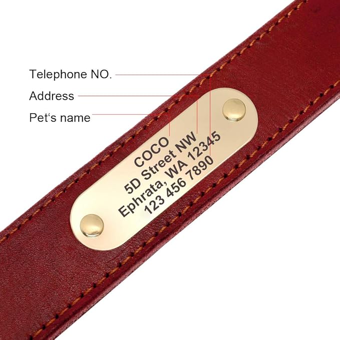 Didog Genuine Leather Dog Collars with Engraved Nameplate, Personalized Soft Leather Dog Collar with Custom ID Tag, Brown/Green/Red for Medium Large Dogs (XXL,Red)
