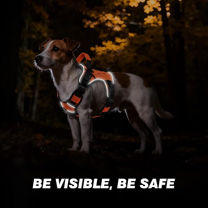 WINGOIN Orange Tactical Dog Harness for Medium Dogs, Heavy Duty No Pull Dog Harness with Handle, Adjustable Reflective Military K9 Pet Vest for Pitbull, Female, Male, Walking, Training, Hunting (M)