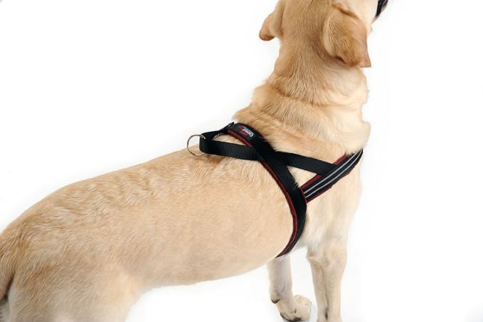 ComfortFlex Sport Dog Harness – No-Choke, Fully Padded, Non-Chafing Harness with Control Handle – Reflective, Lightweight, Adjustable for Active Dogs - XLarge, Raven Black