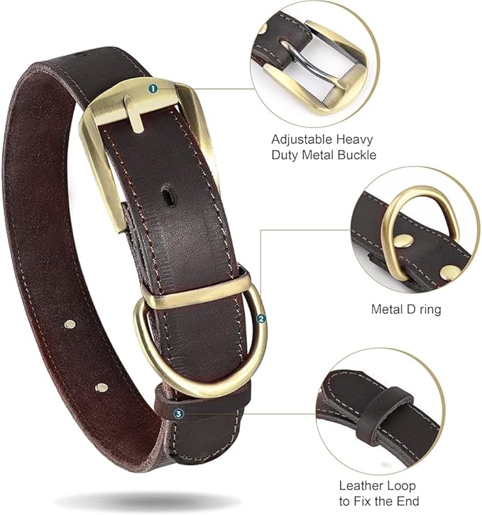 Didog Genuine Leather Dog Collars with Engraved Nameplate, Personalized Soft Leather Dog Collar with Custom ID Tag, Brown/Green/Red for Medium Large Dogs (L,Brown)