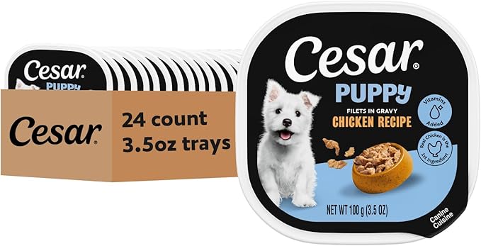 Cesar Puppy Filets in Gravy Wet Dog Food, Chicken Recipe, 3.5 oz. Easy Peel Trays, Dog Food Toppers, 24 Count