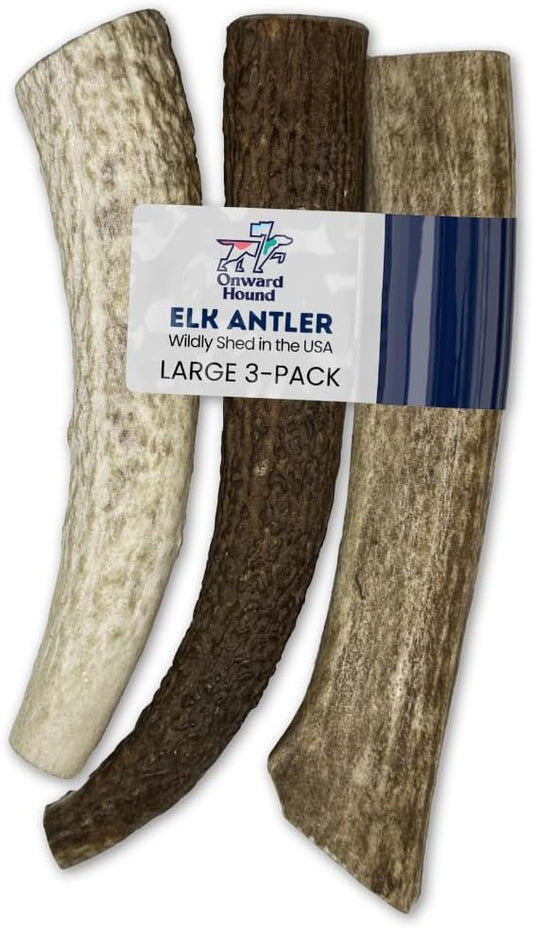 Onward Hound Elk Antlers for Dogs, 7"+ Large 3-Pack, Grade A Long Lasting Chew for Aggressive Chewers, Premium USA Naturally Shed Antler - Healthy, No Odor, Durable Dog Chew for 30-65lb Breeds