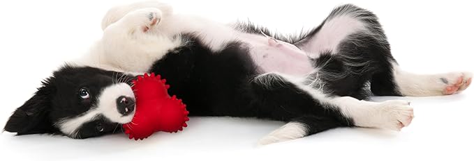 Playology Dog Toys | Puppy Toy Teething Bounce Ball Designed for Young & Active Dogs | Medium Beef Scented Toy Made from Non Toxic Materials