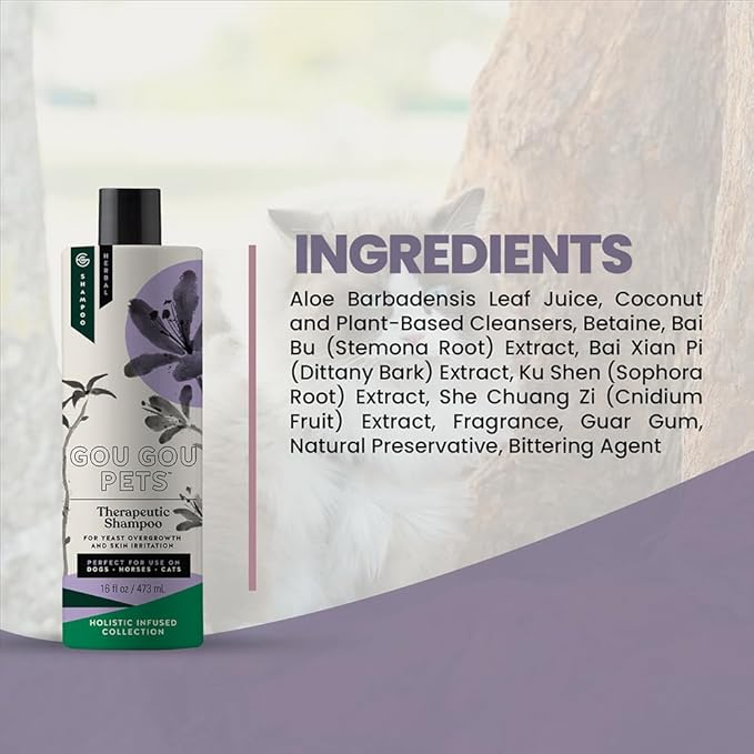 Holistic Natural Anti-Fungal Shampoo for Dogs, Cats & Horses: Veterinarian Recommended: Relieve Itching & Flaking Skin Caused by Fungal Infections & Skin Conditions - Made in USA - 16 oz