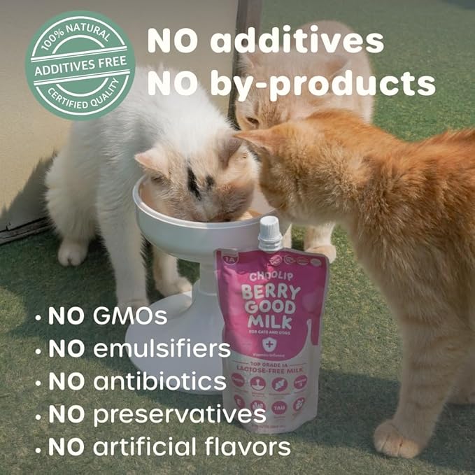 Choolip Berry Good Milk – 10-Pack Lactose-Free Vitamin Milk for Cats & Dogs | Vet-Formulated Pet Drink Supporting Urinary, Joint & Digestive Health | Grain-Free, Ready to Serve