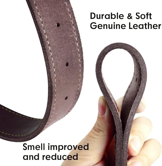 Didog Genuine Leather Dog Collars with Engraved Nameplate, Personalized Soft Leather Dog Collar with Custom ID Tag, Brown/Green/Red for Medium Large Dogs (XL,Brown)