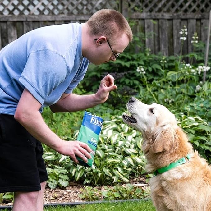 Finley's Apple Cinnamon Dog Biscuits Treats for Dogs Made in USA | Natural Apple Cinnamon Dog Treat | Wheat Free Dog Treats | Healthy Dog Treat Bags (12 oz)