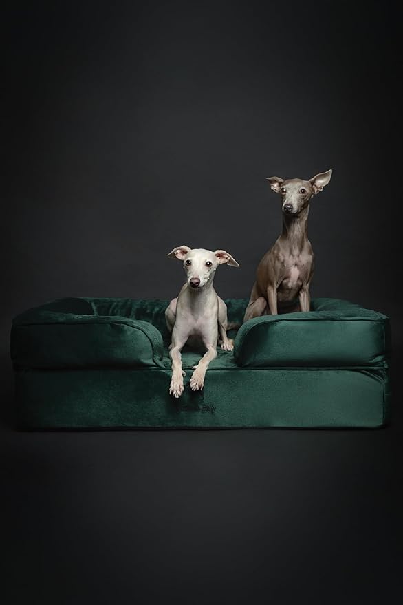 NOAH & PAW Large Dog Bed, 35x25x11 Inch, Orthopedic Dog Beds, Eggshell Memory Foam Infused with Cooling Gel, Inner Cover, Waterproof, Machine Washable (Velvet Sofa Collection)