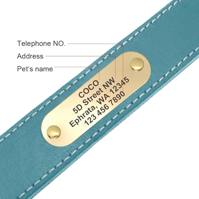 Didog Genuine Leather Dog Collars with Engraved Nameplate, Personalized Soft Leather Dog Collar with Custom ID Tag, Brown/Green/Red for Small Dogs (M,Blue)