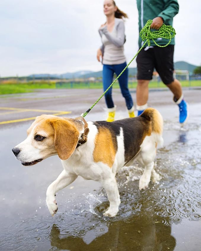 100FT Extra Long Dog Leash for Dog Training, Reflective Threads Check Cord Dog Leash, Heavy Duty Dog Lead for Large Medium Small Dogs Outside Walking, Playing, Camping, or Yard