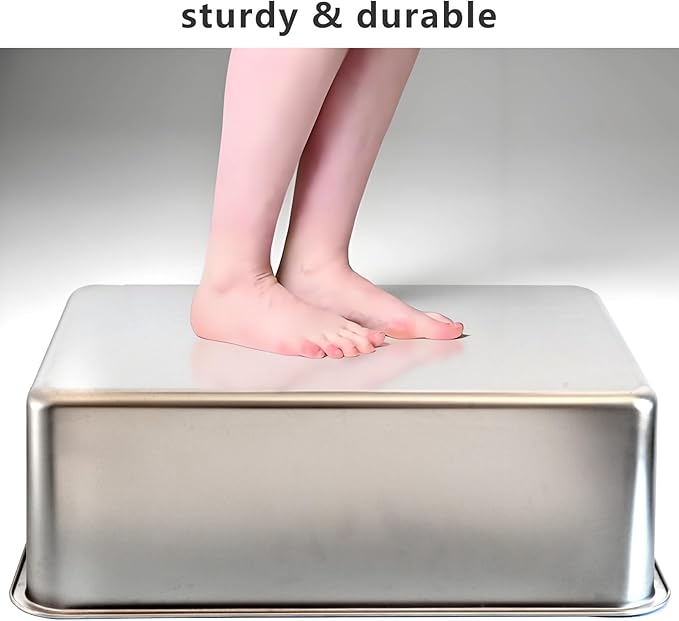 XXL Stainless Steel Cat Litter Box, Includes Catnip Fish Toy & Wand Feather Toy Refill, Extra-Large Metal Litter Pan for Big Cats & Multi-Cat Homes, Pet Toilet Supplies for Kitten