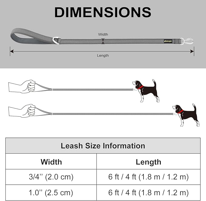 Plutus Pet Heavy Duty Dog Leash with Lockable Aluminum Carabiner, 4/6 Feet Long, Double-Sided Reflective Nylon, Padded Handle, for Puppy, Small, Medium and Large Dogs (Lilac Purple, 1" x 6')