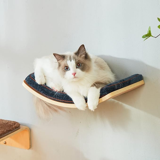 Cat Shelf with Comfortable Cushion - Curved Cat Shelves and Perches for Wall (Medium Size) - Wall Mounted Cats Furniture for Sleeping, Playing, Climbing, and Lounging