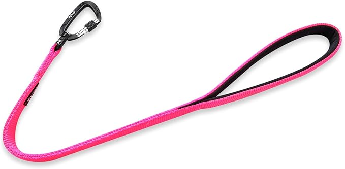 Hyhug Pets 24 Inches Heavy Duty Short Leash with Comfortable Handle and Lightweight Aviation Aluminium Clip Lead- for Large Medium Dogs Daily Necessities. (Hot Pink)