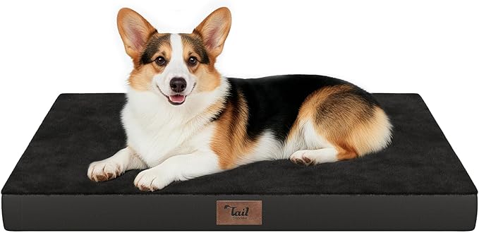 Orthopedic Dog Bed for Large Dogs, Plush Washable Pet Bed for Large Size Dogs with Egg Crate Foam & Removable Oxford Cover, 36x27 Inch, Black