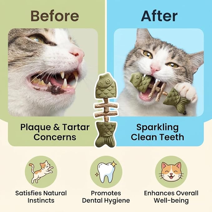 Purrident—2026 New Creative Fish Bone Cat Toy Natural cat Dental Chews Fishbone Shape with Catnip & Silvervine Durable Feline Tooth Care Tool (C)