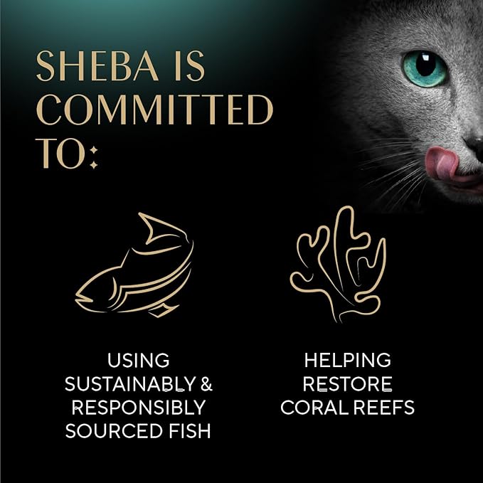 Sheba Selections Filets in Broth Adult Wet Cat Meal Complement Chicken, Chicken & Tuna, or Chicken & Shrimp Recipe, 1.3 oz. Cups, 24 Count