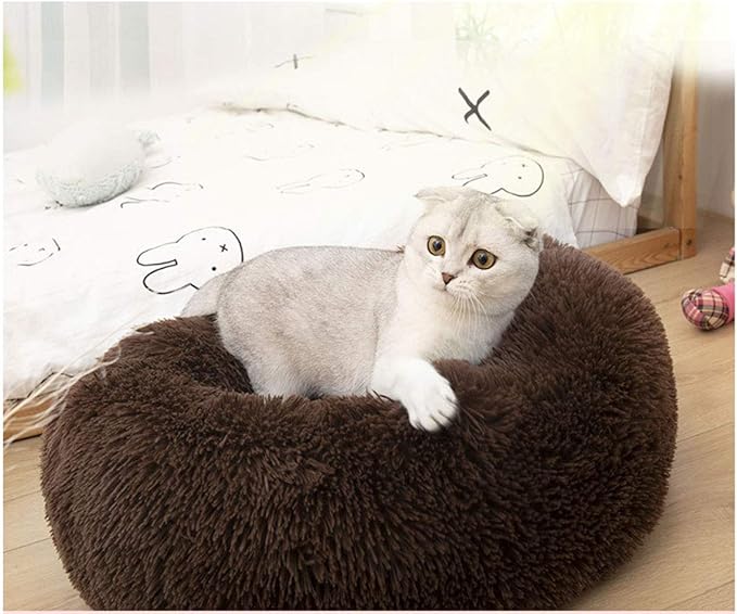 BODISEINT Modern Soft Plush Round Pet Bed for Cats or Small Dogs, Mini Medium Sized Dog Cat Bed Self Warming Autumn Winter Indoor Snooze Sleeping Cozy Kitty Teddy Kennel (24'' D x 8'' H, Chocolate)
