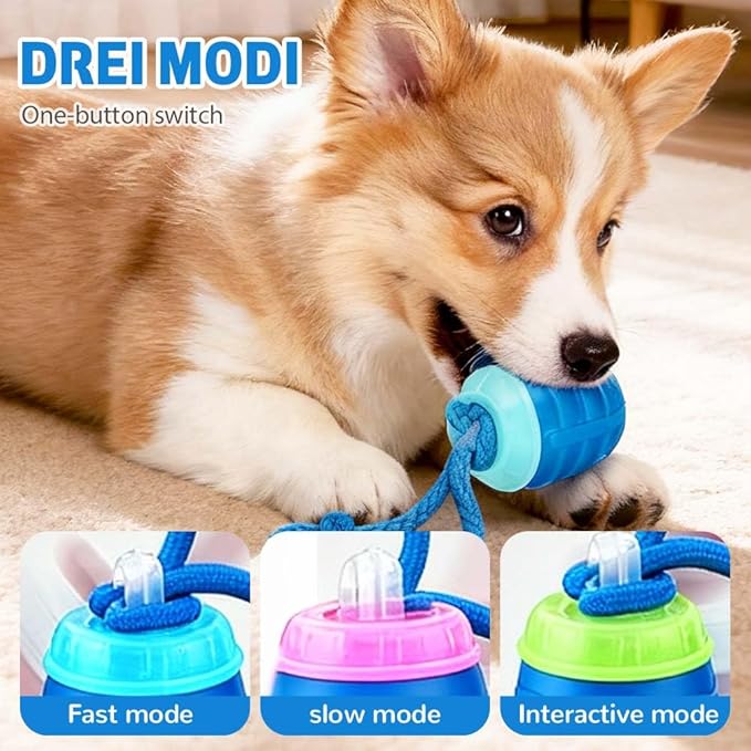 Interactive Dog Toys, 2025 New Motion Activated Cat Balls with 360° Smart Automatic Rolling Moving for Bored Pet Cats Dogs (Orange)