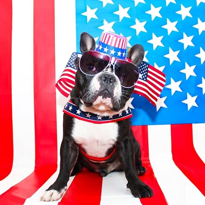 ComfortFlex Sport Dog Harness – No-Choke, Fully Padded, Non-Chafing Harness with Control Handle – Reflective, Lightweight, Adjustable for Active Dogs - XLarge, Raven Black