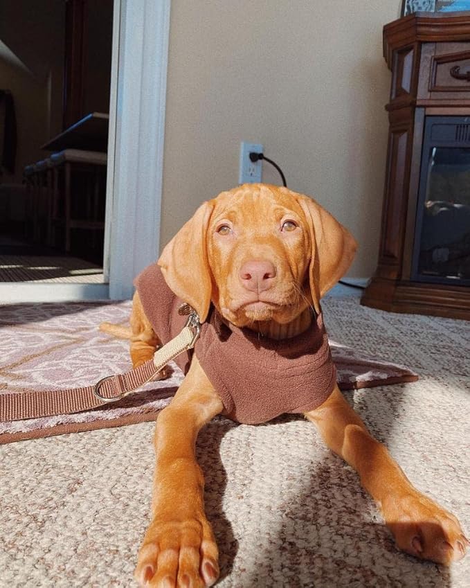 Gooby Stretch Fleece Vest Dog Sweater - Brown, 2X-Large - Warm Pullover Super Stretchy Fleece Dog Jacket for Small to Large Dogs