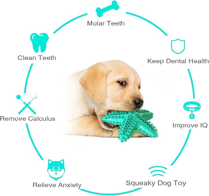 LiuMelinda Dog Chew Toys for Aggressive-Chewers - Indestructible Dog Toy for Aggressive Chewer，Tough Chew Toys for Dogs （Rubber Blue-Starfish）