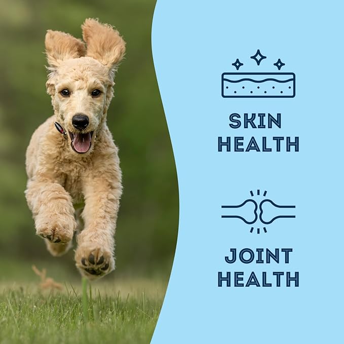 The Granville Island Pet Treatery Sardines for Dogs & Sardines for Cats (6.3 o.z.) - Dehydrated Single Ingredient Dog Treats - All Natural Dog Treats, Grain Free – Training Treats