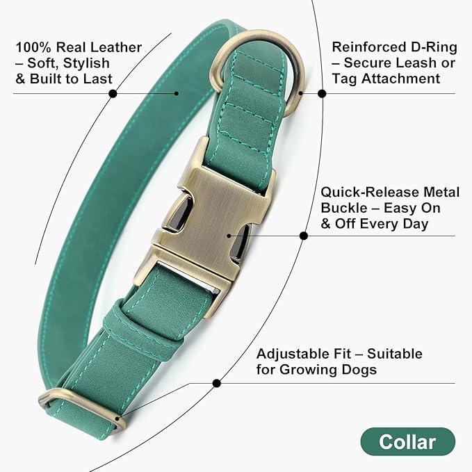 Plutus Pet Genuine Leather Dog Collar – Adjustable Pet Collar with Quick Release Metal Buckle, Soft Real Leather for Small Medium Large Dogs, Heavy Duty & Skin-Friendly (Green, S)