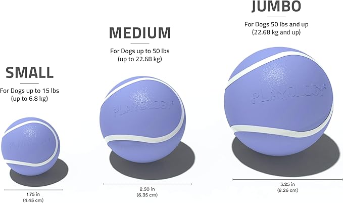 Playology Dog Toys | Squeaky Chew Ball - Bouncy Durable Floating Fetch Ball for Dogs | Medium Blueberry Scented Toy - Easy to Clean and Made from Non Toxic Materials