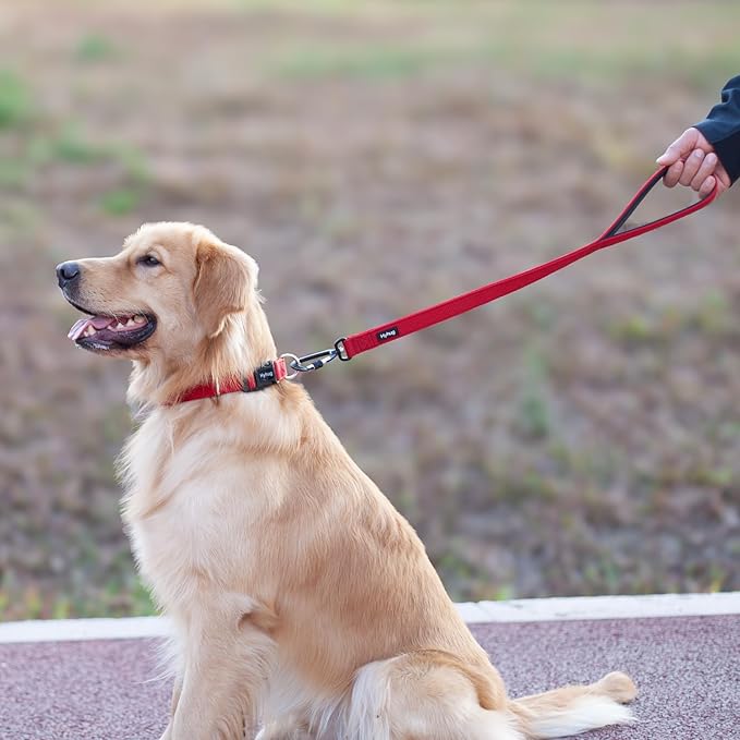 Hyhug Pets 24 Inches Durable Short Leash with Neoprene Soft Handle and Lightweight Aviation Aluminium Clip Lead- for Daily Use Walking and Professional Training. (24 Inches, Red)