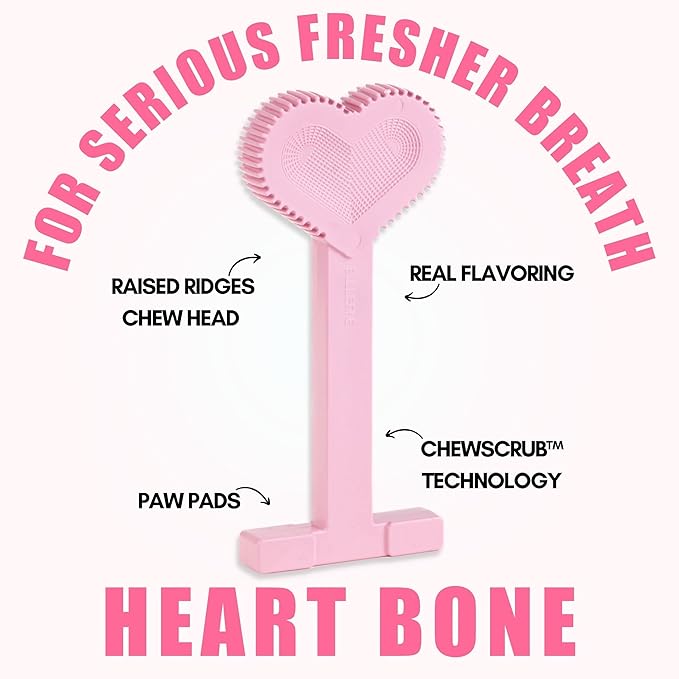 Bullibone Nylon Dog Chew Toy for Aggressive Chewers - Dental Hygiene Bone with Peppermint Flavor, Durable Tough Chew Toys for Large Dogs, Indestructible Dog Bone - Single