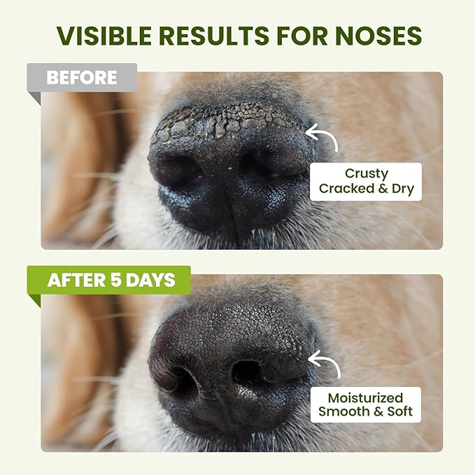 Lick-Safe Dog Paw & Nose Balm with Coconut Oil | Winter Road Salt & Cold Pavement Protector | All-Natural Moisturizer & Soother for Dry, Cracked Pads & Snout | Nose Butter for Bulldogs (1.3 oz / 36 g)