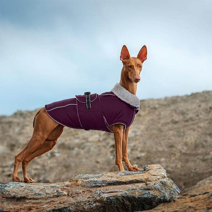 Lelepet Warm Dog Coat Waterproof Dog Jacket for Large Dogs Reflective Fleece Vest with Adjustable Buckle Hook & Loop Windproof Cold Weather Coats for Small Medium Large Dogs, Dark Purple, XL