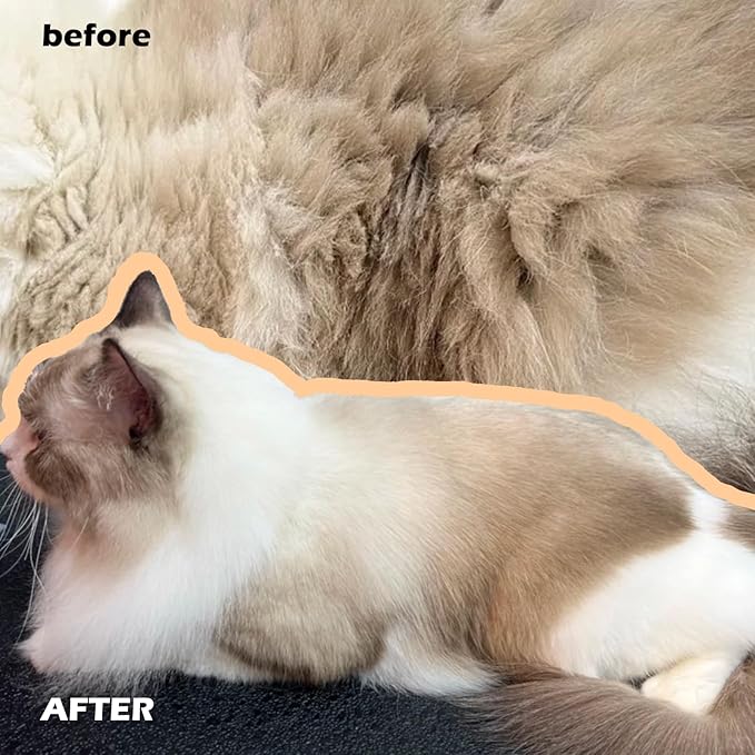 Cat Steam Brushes for Shedding, 4 in 1 Rechargeable Steam Brush for Cats and Dogs,Grooming Comb with Spray