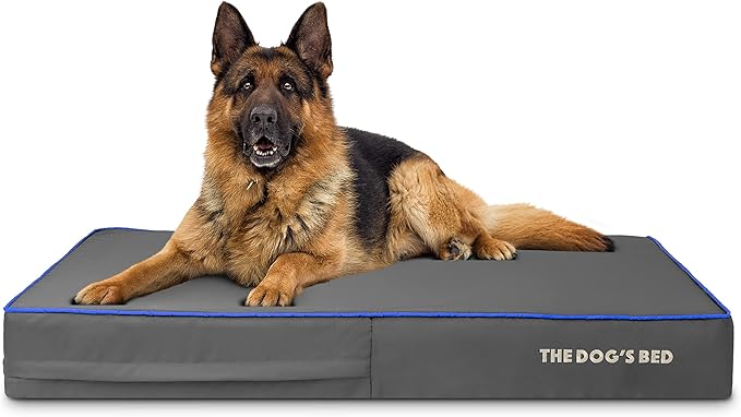 The Dog’s Bed Orthopedic Memory Foam Dog Bed, XL Grey/Blue 46x28, Pain Relief for Arthritis, Hip & Elbow Dysplasia, Post Surgery, Lameness, Supportive, Calming, Waterproof Washable Cover