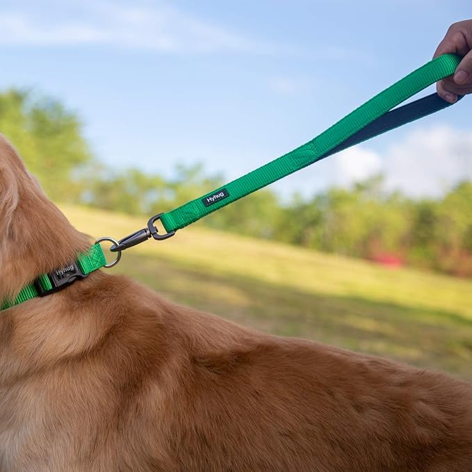 Hyhug Pets Upgraded Traffic Nylon 18 Inch Short Leash with Soft Neoprene Lined Handle for Medium Large Giant Breeds Dogs, Daily Use Walking and Professional Training. (18 Inches, Lime Green)