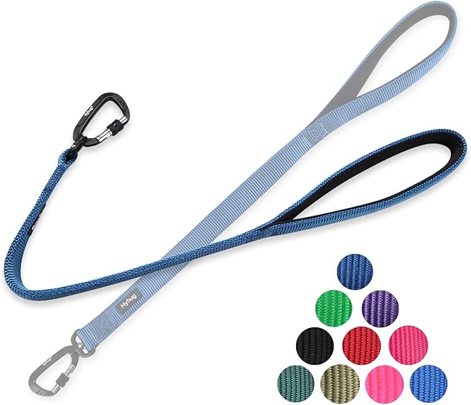 Hyhug Pets 24” Heavy Duty Nylon Short Leash with Comfortable Handle and Lightweight Aviation Aluminium Clip Lead- for Large Medium Dogs Daily Walking&Training. (24 Inches, Classic Blue)