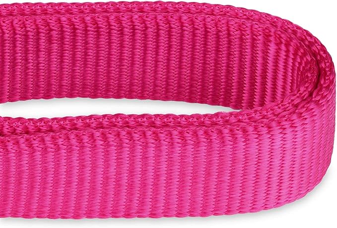 Hyhug Martingale Collar for Dogs Small Pink |Escape - Proof Heavy Duty Nylon Durable No Buckle, Ideal for Training & Daily Walks