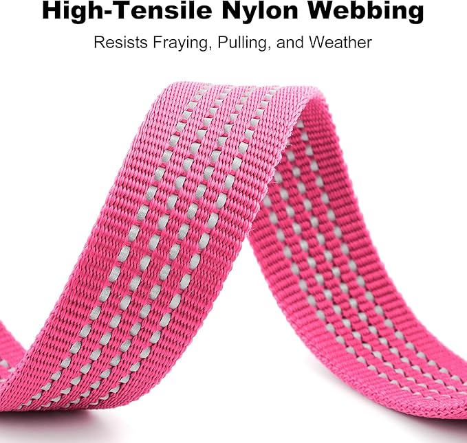 Plutus Pet Heavy Duty Dog Leash with Lockable Aluminum Carabiner, 4/6 Feet Long, Double-Sided Reflective Nylon, Padded Handle, for Puppy, Small, Medium and Large Dogs (Pink, 1" x 6')