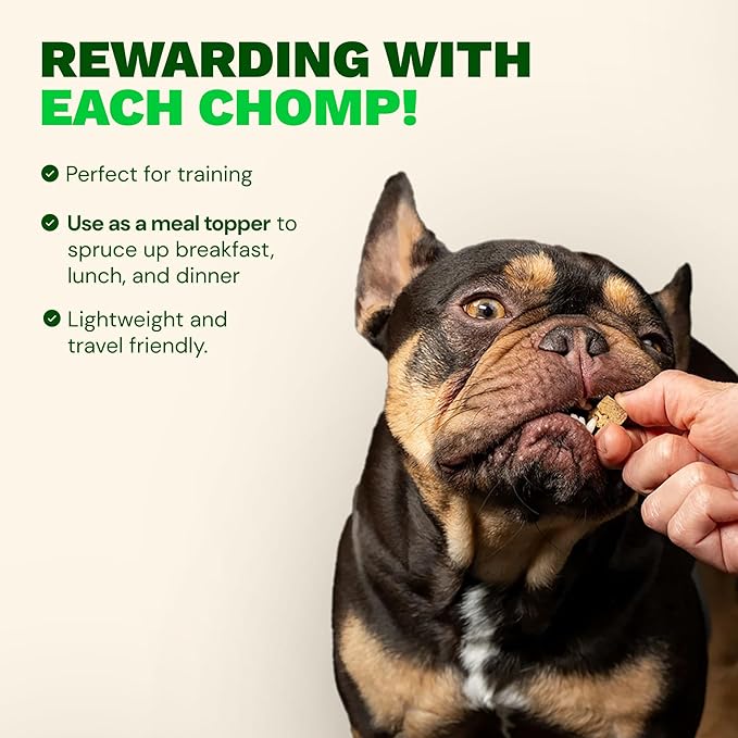 Get Joy Freeze Dried 100% Beef Kidney Dog Treats, 16oz | Single Ingredient Organ Meat, High Protein Raw Dog Food Topper, Snack & Training Rewards | Grain Free, Gluten Free, Filler Free